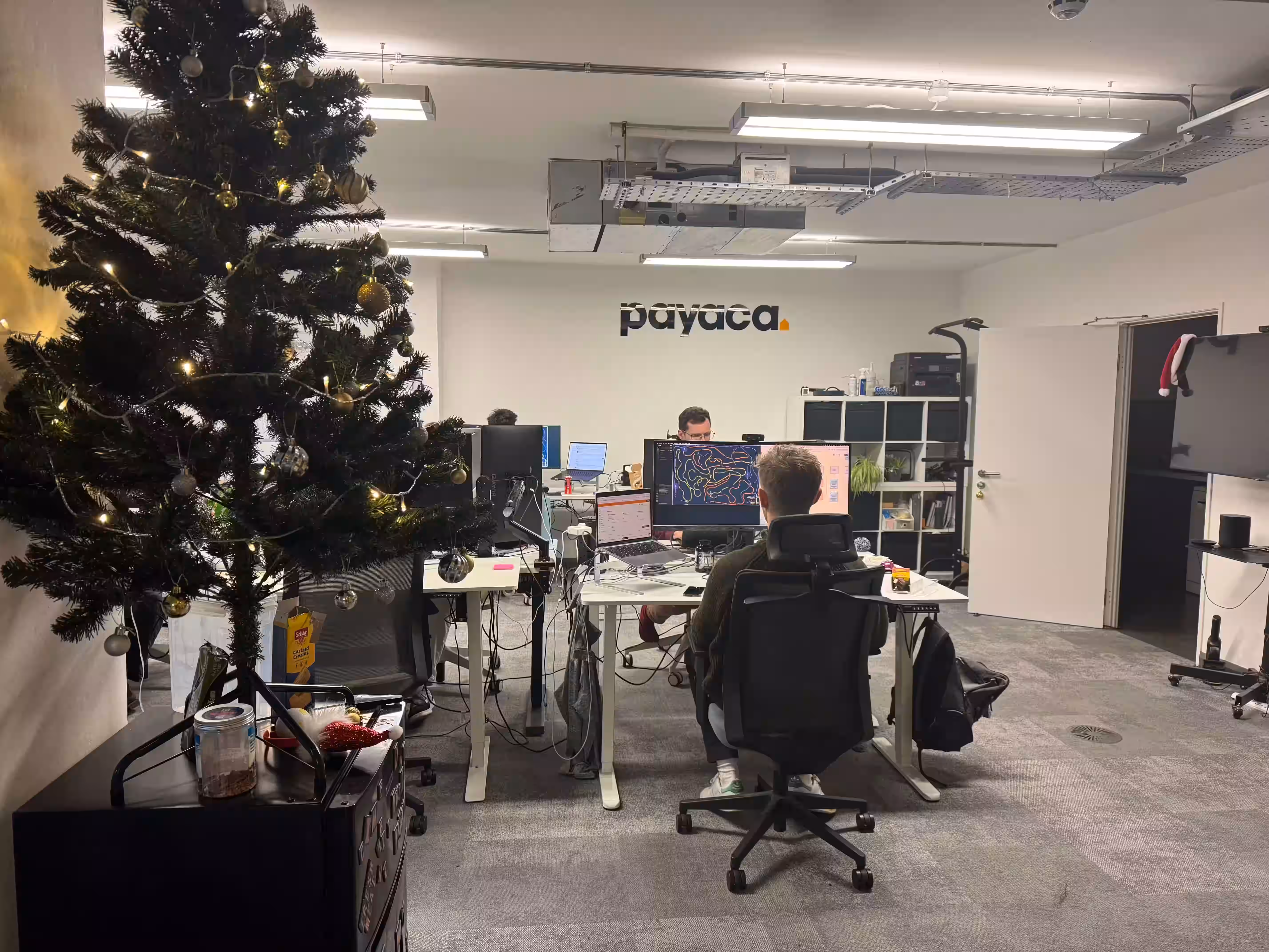 2025: The year Payaca grew up