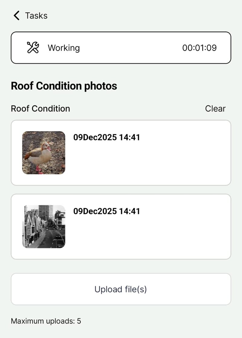 WhatsApp Image 2025-12-09 at 2.42.00 pm.jpeg